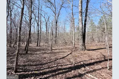 195 Margarets Grove Road SW, Crawfordville, GA 30631 - Photo 19