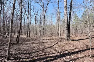 195 Margarets Grove Road SW, Crawfordville, GA 30631 - Photo 19