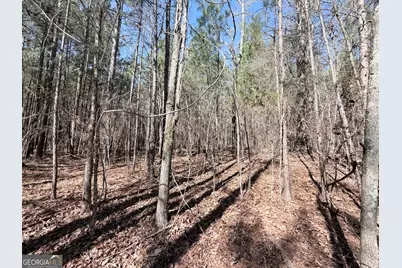 195 Margarets Grove Road SW, Crawfordville, GA 30631 - Photo 21