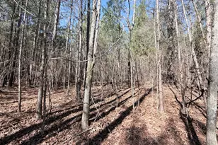 195 Margarets Grove Road SW, Crawfordville, GA 30631 - Photo 21