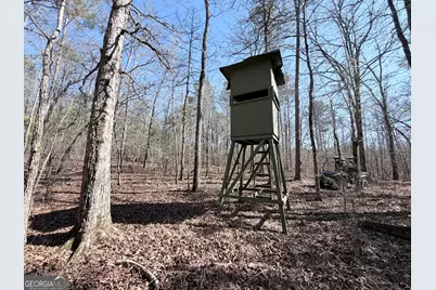 195 Margarets Grove Road SW, Crawfordville, GA 30631 - Photo 25