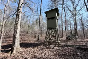 195 Margarets Grove Road SW, Crawfordville, GA 30631 - Photo 25