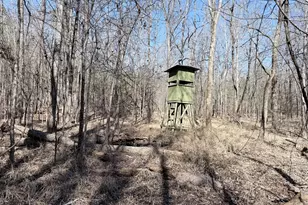 195 Margarets Grove Road SW, Crawfordville, GA 30631 - Photo 27