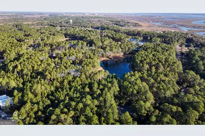 V/L 176 Gamefish Lane, Saint Marys, GA 31558 - Photo 5