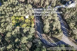 V/L 810 Galley Ln, Saint Marys, GA 31558 - Photo 1