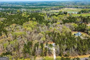 184 Clearview Dr W, Monticello, GA 31064 - Photo 37