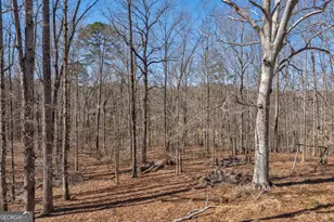 1380 Brittain Estates Dr, Watkinsville, GA 30677 - Photo 55