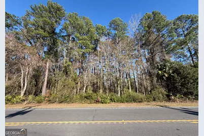 0 Martin Luther King Jr, Kingsland, GA 31548 - Photo 5