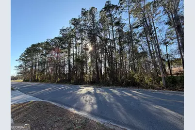 0 Martin Luther King Jr, Kingsland, GA 31548 - Photo 3