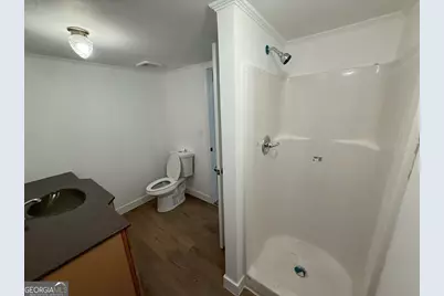 514 Phillips Road, Warm Springs, GA 31830 - Photo 25