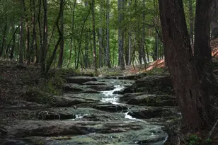 145 VFW Dr, Watkinsville, GA 30677 - Photo 37