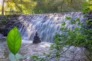 147 VFW Dr, Watkinsville, GA 30677 - Photo 29