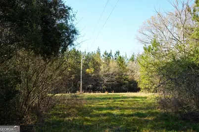 0 Clifton Road, Statesboro, GA 30458 - Photo 23