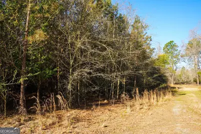 0 Clifton Road, Statesboro, GA 30458 - Photo 13