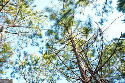 0 Clifton Road, Statesboro, GA 30458 - Photo 17