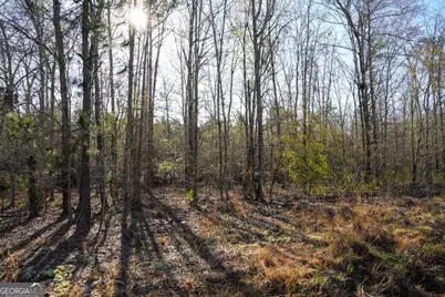 0 Clifton Road, Statesboro, GA 30458 - Photo 7