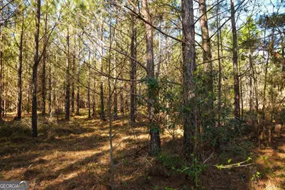 0 Clifton Road, Statesboro, GA 30458 - Photo 19