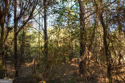 0 Clifton Road, Statesboro, GA 30458 - Photo 15