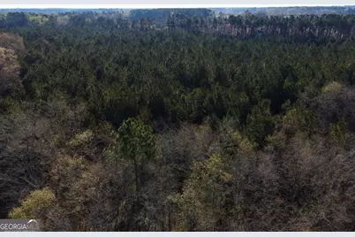 0 Clifton Road, Statesboro, GA 30458 - Photo 3