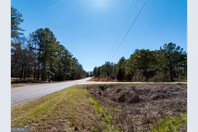 5.26 Acres Old Knoxville Road, Knoxville, GA 31050 - Photo 5