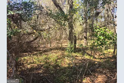 5.26 Acres Old Knoxville Road, Knoxville, GA 31050 - Photo 3