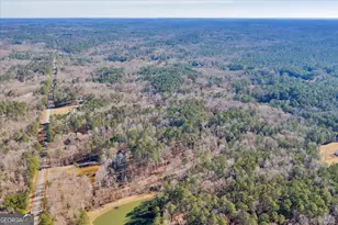 204 Creekside Dr, Gray, GA 31032 - Photo 83