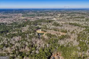 204 Creekside Dr, Gray, GA 31032 - Photo 75