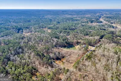 204 Creekside Drive, Gray, GA 31032 - Photo 79