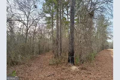 2601 New Evergreen Church Road, Cadwell, GA 31009 - Photo 29