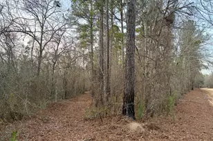 2601 New Evergreen Church Rd, Cadwell, GA 31009 - Photo 29