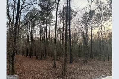 2601 New Evergreen Church Road, Cadwell, GA 31009 - Photo 27