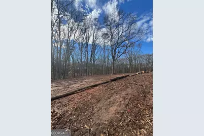 231 Roosevelt Circle, Bowman, GA 30624 - Photo 3