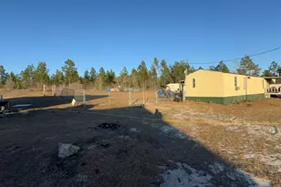 1249 Lambs Bridge Rd, Twin City, GA 30471 - Photo 13