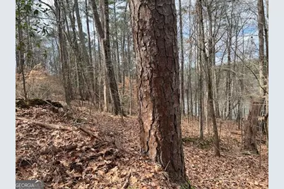 0 Lower Dixie Lake Road, Union City, GA 30291 - Photo 11