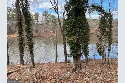 0 Lower Dixie Lake Road, Union City, GA 30291 - Photo 5