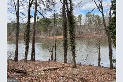 0 Lower Dixie Lake Road, Union City, GA 30291 - Photo 1
