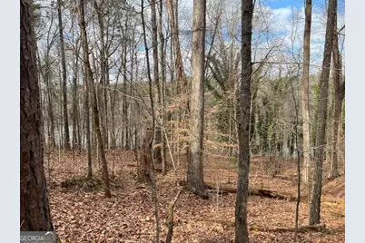 0 Lower Dixie Lake Road, Union City, GA 30291 - Photo 7