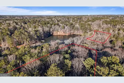 0 Lower Dixie Lake Road, Union City, GA 30291 - Photo 3