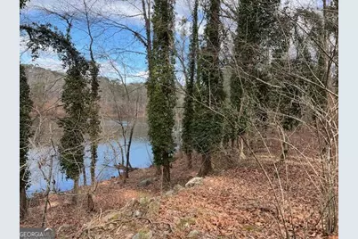 0 Lower Dixie Lake Road, Union City, GA 30291 - Photo 13