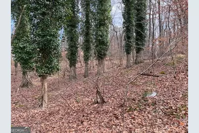 0 Lower Dixie Lake Road, Union City, GA 30291 - Photo 9