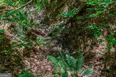 Lot 103R Mountain Creek Hollow Drive, Talking Rock, GA 30175 - Photo 13