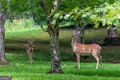 Lot 103R Mountain Creek Hollow Drive, Talking Rock, GA 30175 - Photo 45
