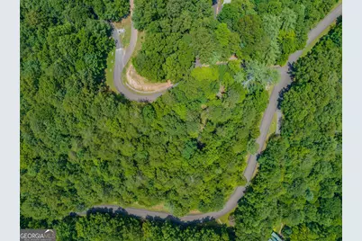 Lot 103R Mountain Creek Hollow Drive, Talking Rock, GA 30175 - Photo 7