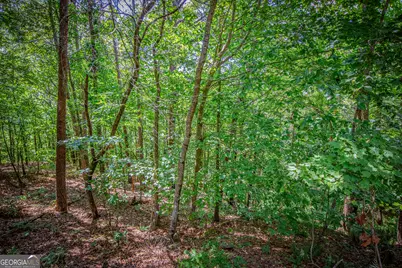 Lot 103R Mountain Creek Hollow Drive, Talking Rock, GA 30175 - Photo 11