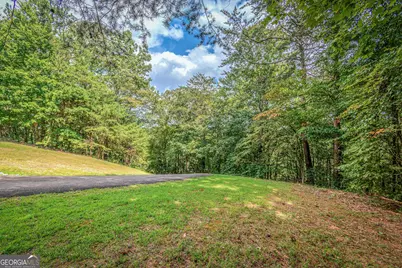 4.7Ac Mountain Creek Hollow Drive, Talking Rock, GA 30175 - Photo 23