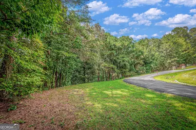 4.7Ac Mountain Creek Hollow Drive, Talking Rock, GA 30175 - Photo 19