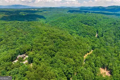 4.7Ac Mountain Creek Hollow Drive, Talking Rock, GA 30175 - Photo 29