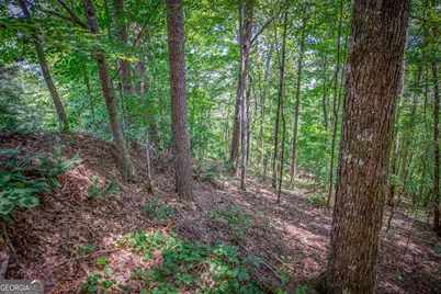 4.7Ac Mountain Creek Hollow Drive, Talking Rock, GA 30175 - Photo 21