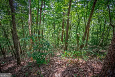 4.7Ac Mountain Creek Hollow Drive, Talking Rock, GA 30175 - Photo 27