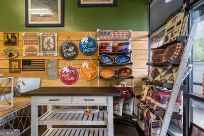 14244 Hwy 515N, Ellijay, GA 30536 - Photo 31